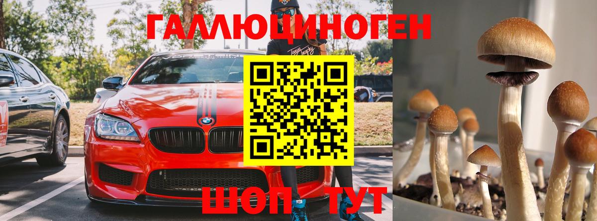 Псилоцибиновые грибы MAGIC MUSHROOMS Похвистнево